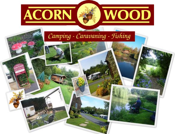 Acorn Wood