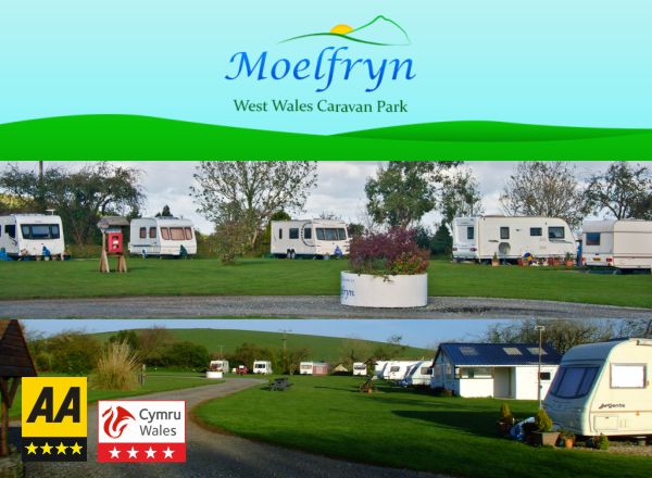 Moelfryn Caravan Park 14039