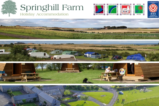 Springhill Farm Caravan/Camping Site & Wigwams 14119