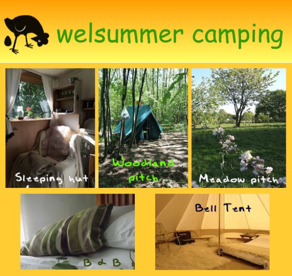 Welsummer Camping