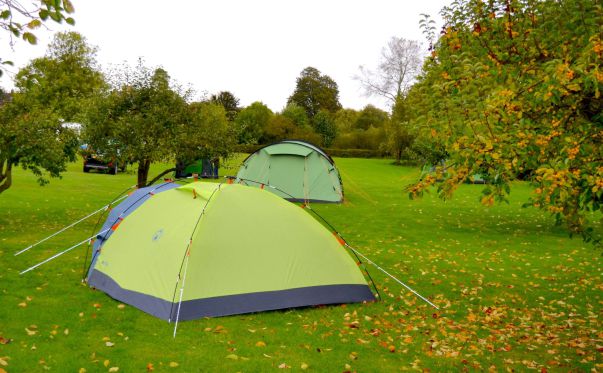 Low Farm Touring & Camping Park 15454