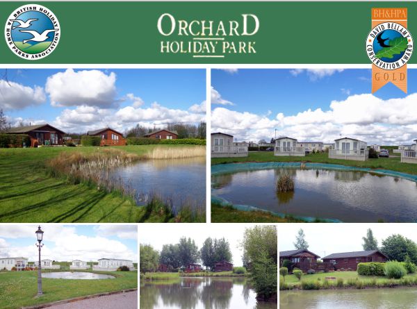 Orchard Holiday Park