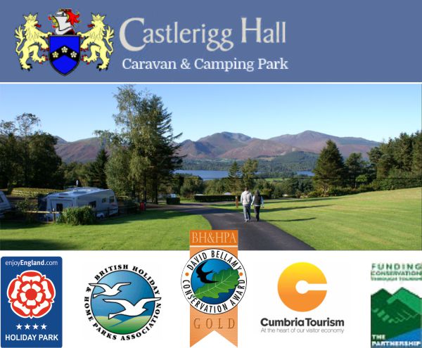 Castlerigg Hall Caravan and Camping Park 435