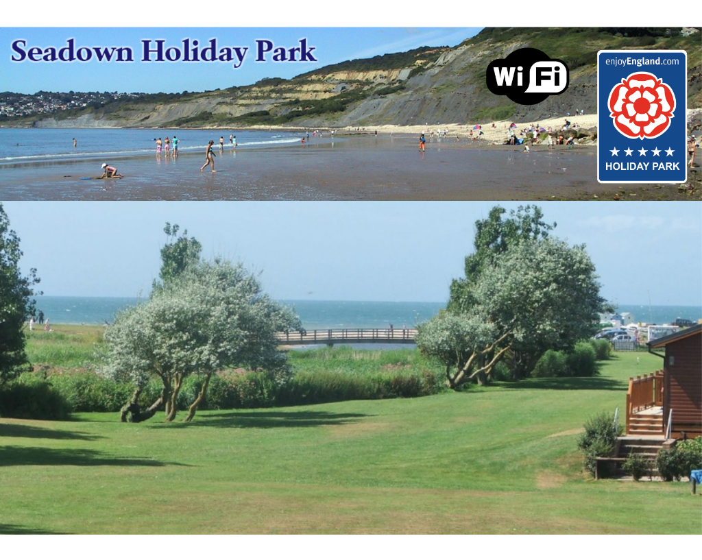 Seadown Holiday Park