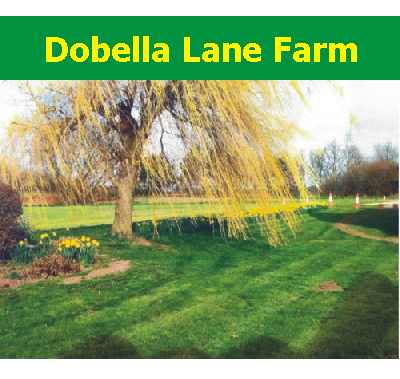 Dobella Lane Farm 8545