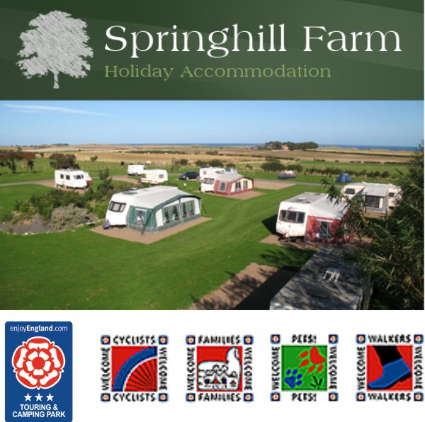 Springhill Farm Caravan/Camping Site & Wigwams 953