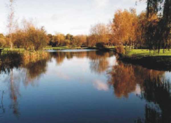 Narborough Trout & Coarse Lakes Caravan Site 10020