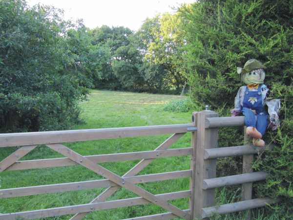 Oaklands Campsite 10083