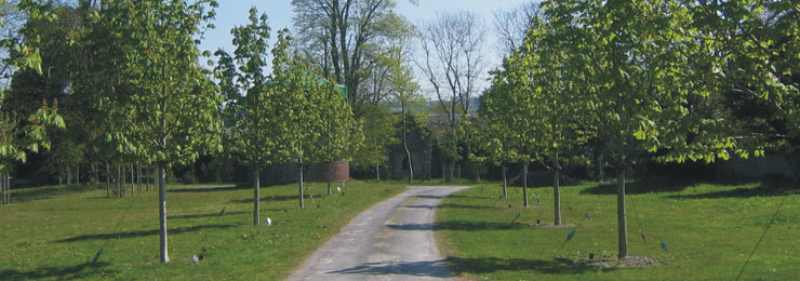 Strangers Home Caravan & Camping Site 10090