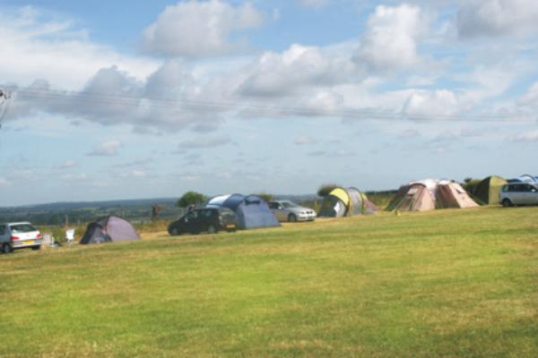 Town Farm Camping & Caravanning 10167