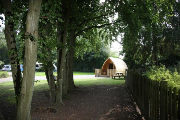 Whitemead Forest Park 10229
