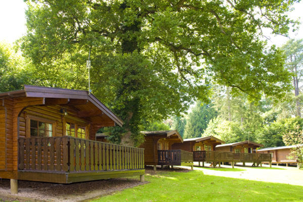 Whitemead Forest Park 10230