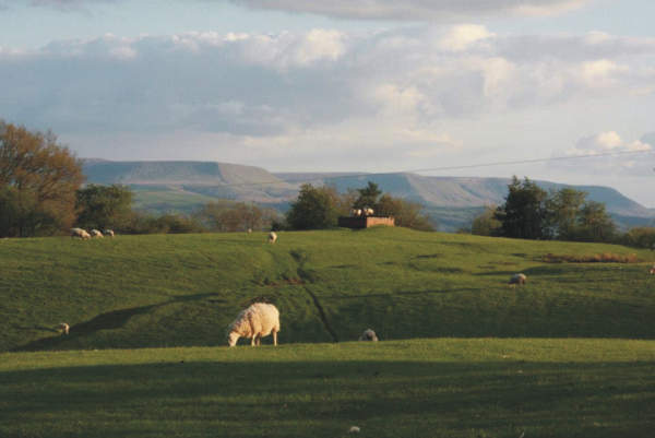 Beacon Fell View Holiday Park 10251