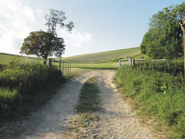 Housedean Farm Campsite 10262