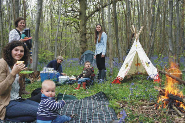 Badgells Wood Camping 10286