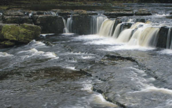 The Falls at Aysgarth Falls 10371