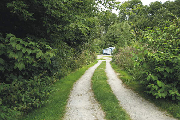 Lathkill Dale Campsite 10439