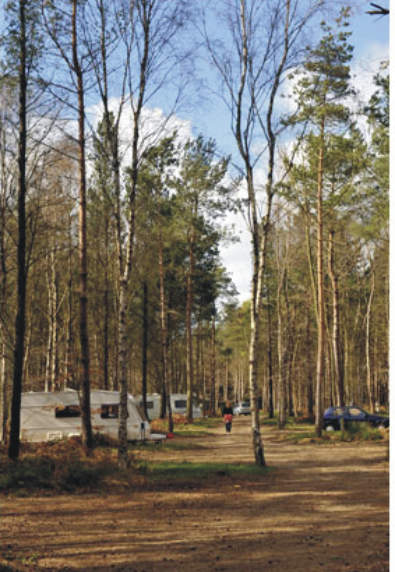 Woodland Caravan Park 10445
