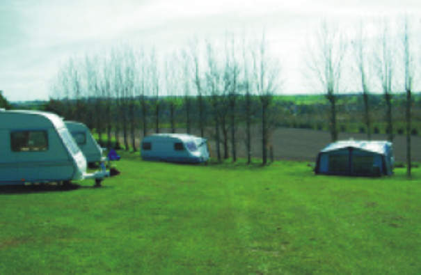 Links Camping and Caravan Park 10482
