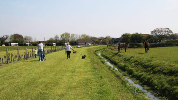 Stonebridge Farm Caravan Park 10492