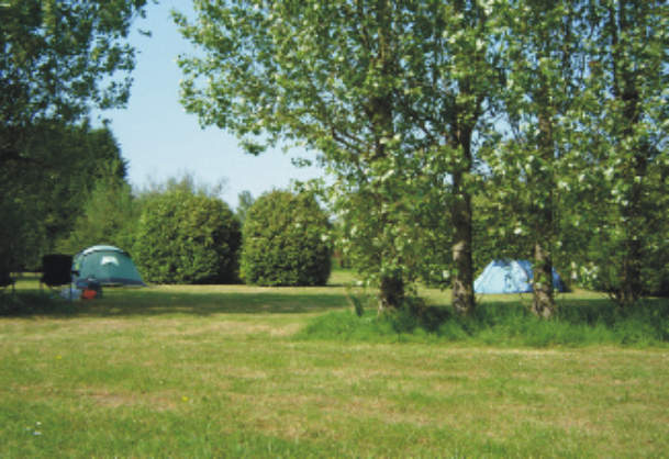 Laurel Park Campsite 10535