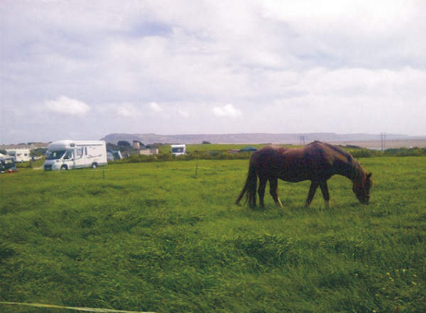 Martleaves Farm Campsite 10588