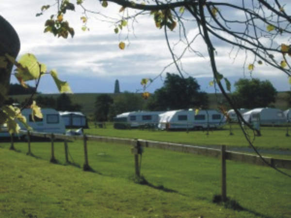 Budle Bay Campsite 10645