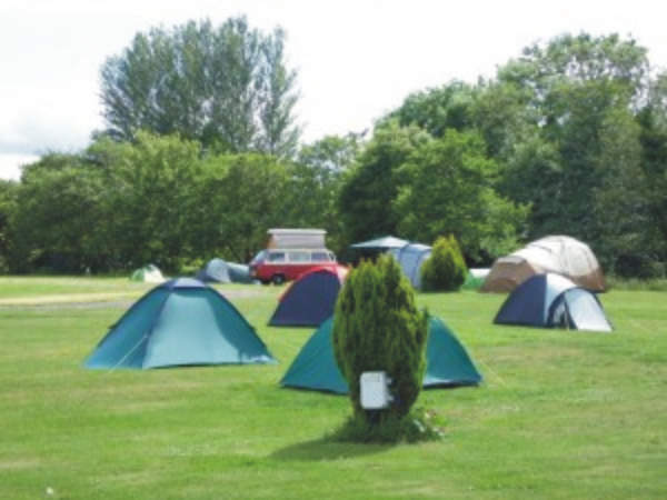 Budle Bay Campsite 10646