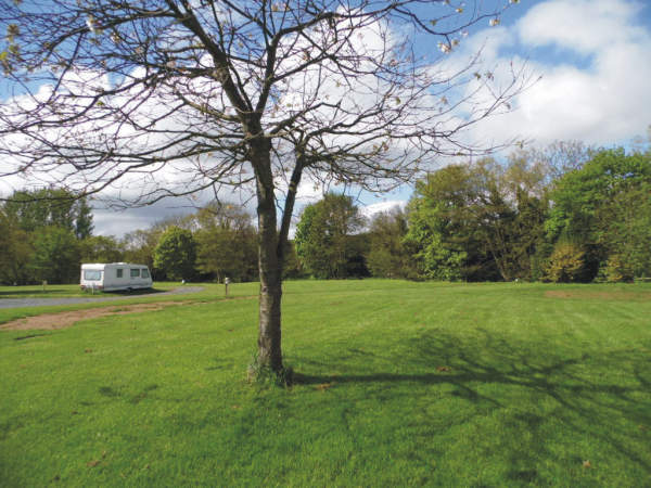 Budle Bay Campsite 10647