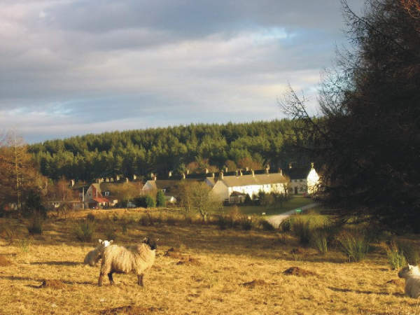 Stonehaugh Campsite 10649