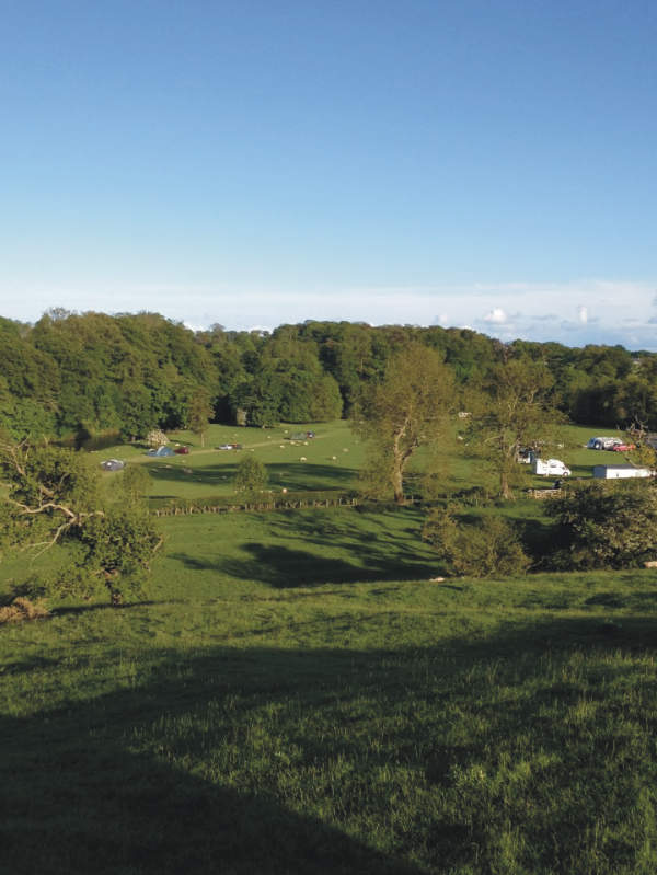 Walkmill Campsite 10656