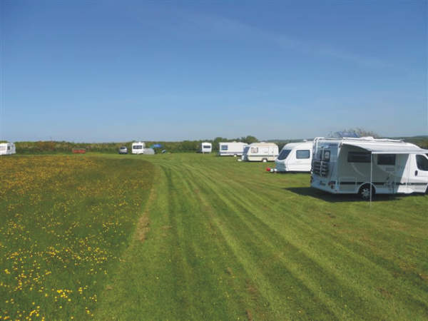 Stoke Barton Farm and Campsite 10665