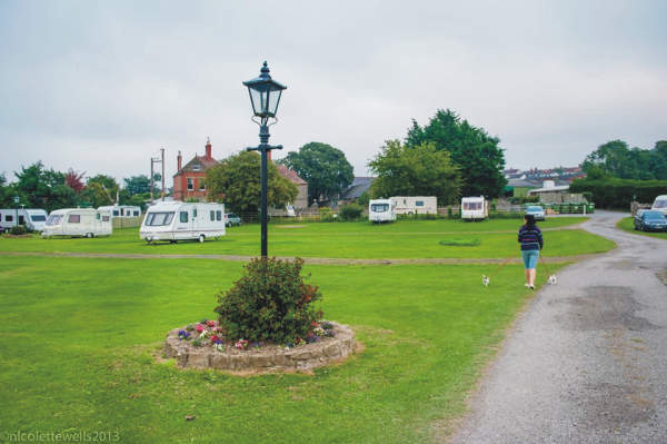 Dinarth Hall Camping & Caravan Site 10839