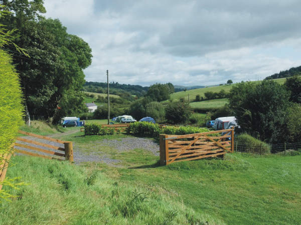 Maes-y-Bryn Campsite 10842