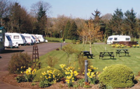 Five Roads Caravan Park 10883