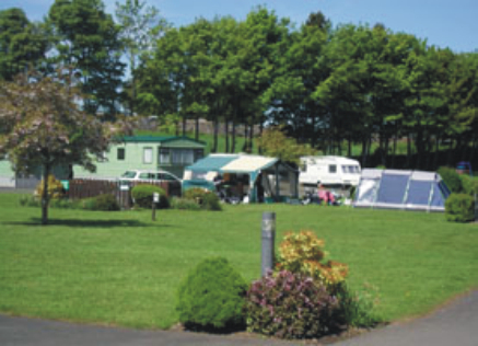 Five Roads Caravan Park 10884