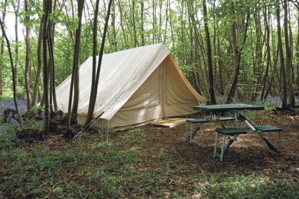 Welsummer Camping 10897