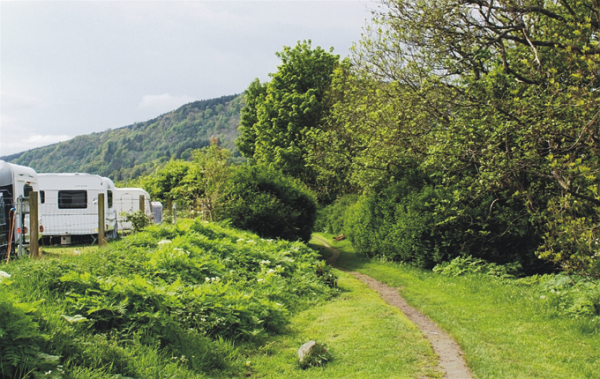 Aberfeldy Caravan Park 10900