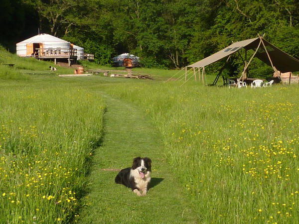 Hidden Valley Yurts 10950