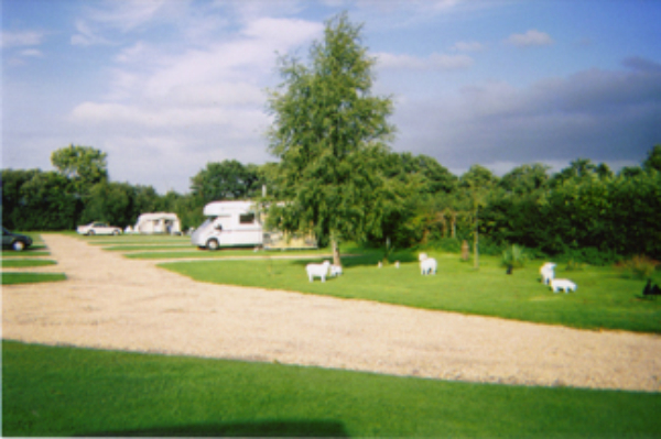 Greenacres Touring Park 10982