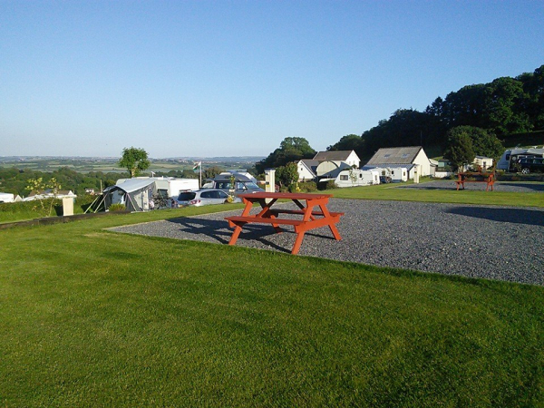 Llwynifan Farm Caravan Park 10985