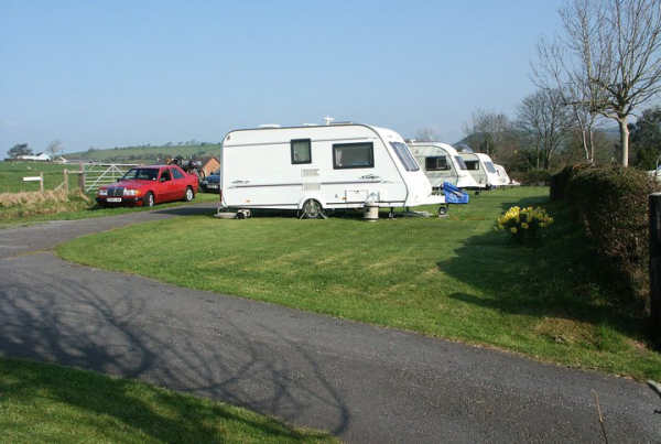 Llwynifan Farm Caravan Park 10986