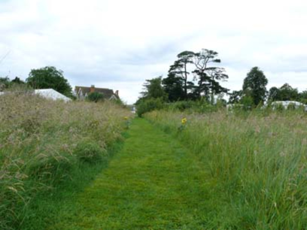 Tyddyn Du Touring Park 11024