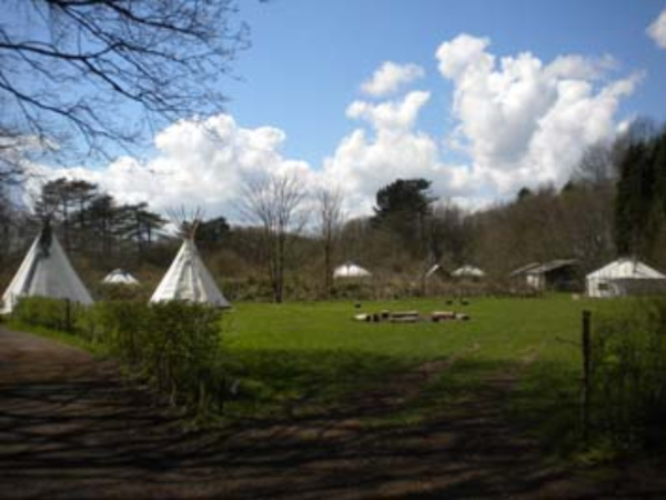 The Sustainability Centre Campsite 11048