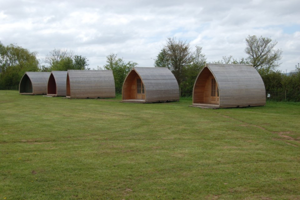 Apple Orchard Campsite 11062