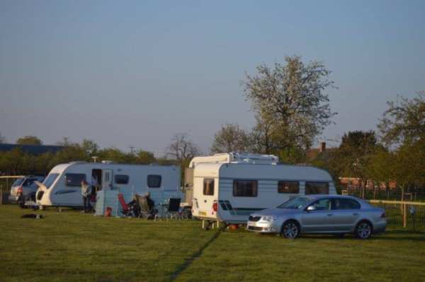 Apple Orchard Campsite 11063