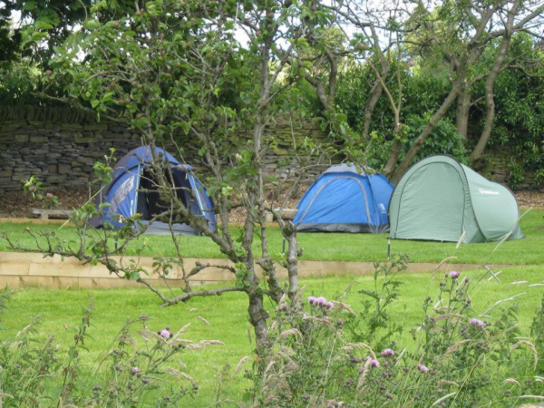 Orchard Camping 11067