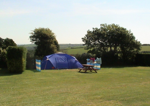 Looe Country Park 11116