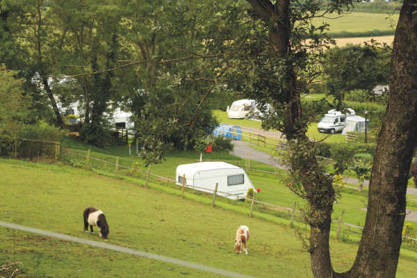 Parkers Farm Holiday Park 11130