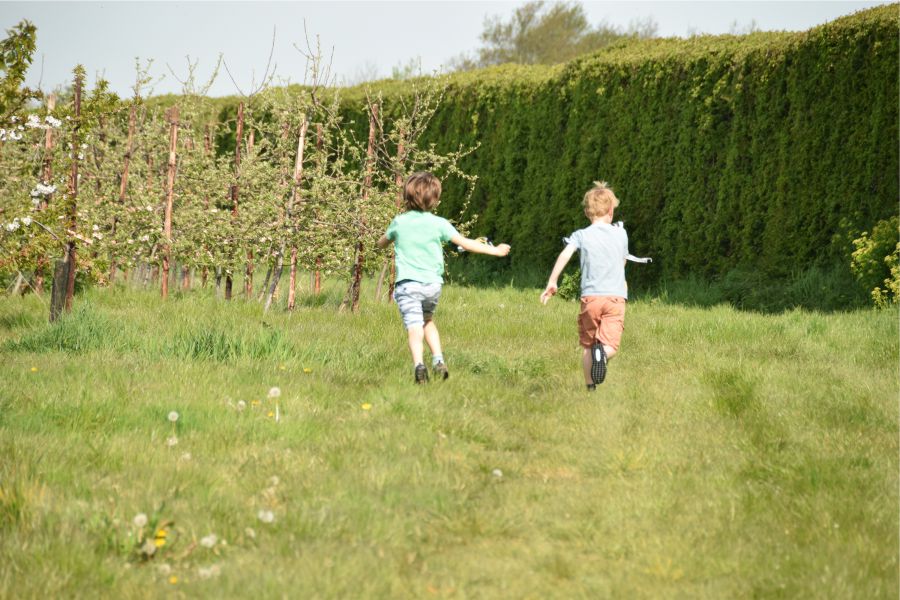 Fallow Fields Camping 11160